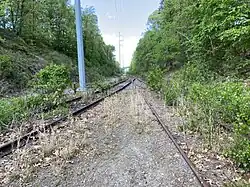 Railroad tracks, overgrown by vegetation and clearly abandoned.