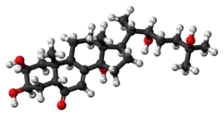 Ball-and-stick model of the ecdysone molecule