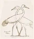 Egyptian relief sculpture: two cranes, drawing, c. 1844–96, collection Rijksmuseum