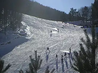 Ski center of Elatochori