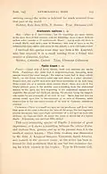Entomological News 1904 Description of Parides klagesi