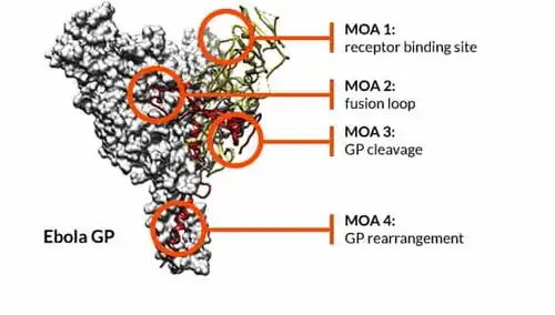 Epitope maps provide MOA information