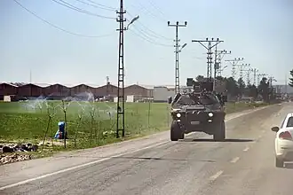 Turkish Cobra in Suruç