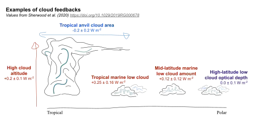 Examples of cloud feedback