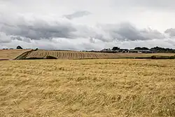 Corn and wheat fields in the foreground, with various farm buildings on the upper horizon