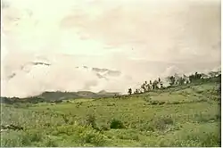 Green grasses in the foreground with hills and clouds in the background.