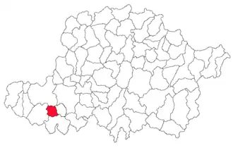 Location in Arad County