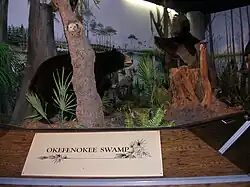 Okefenokee Swamp diorama exhibit.