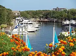 The marina from the west side shops area looking east