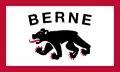 Flag of Berne, Indiana