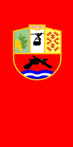 Flag of Municipality of Demir Hisar
