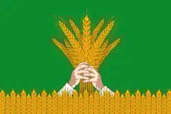 Flag of Kiknursky District