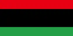 The flag of Libya in (2011 protests).