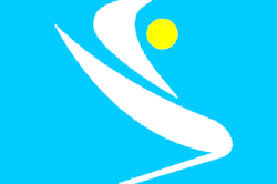 One of the variant flags of the RCD.