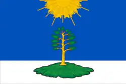Flag of Solnechny