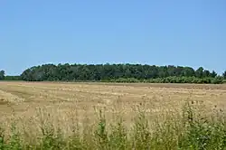 Fields off Road 14 north of Holgate