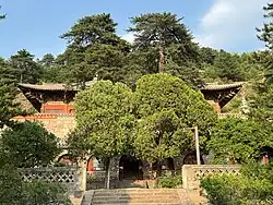 A Chinese temple building. It is built on a raised terrace and two trees nearly obscure the building from view.