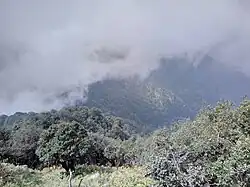 Forests of Diba range