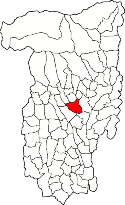 Location in Vâlcea County