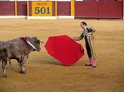 Frank Evans fights a bull, Spain