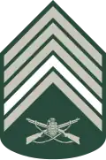 Segundo-sargento (Brazilian Army)[4]