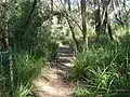 The Great North Walk at 34 kilometres (21&nbsp;mi) from Macquarie Place, Sydney. The trail here follows the creek along the Berowra Valley.