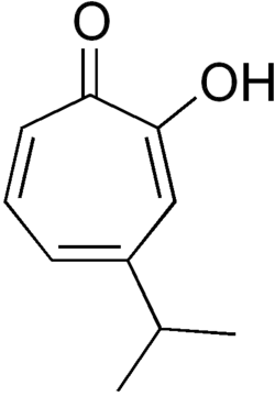 Skeletal formula of hinokitiol
