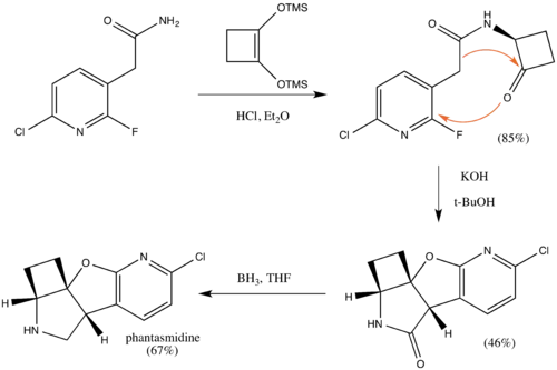 A Synthesis of phantasmidine starting at the essential step.