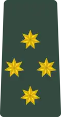 კაპიტანი (K’ap’it’ani) Georgian Army