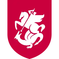 Shirt badge/Association crest