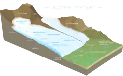 The accumulation zone is found at the highest altitude of the glacier, where accumulation of material is greater than ablation.