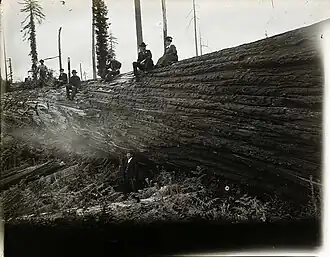 Lower trunk with six people present