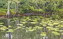 Water-Lily Pond (1915)