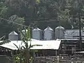 Dairy farm structures