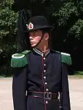 Royal Guardsman in Oslo, Norway
