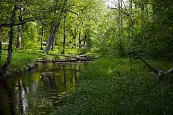 Kuivajõgi river in Harmi Manor park