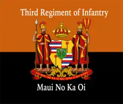 Digital reconstruction of the flag carried by Hawaii's National Guard, 1916[25]