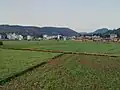 Field in Hekou Township, Xundian County