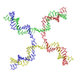 Molecular structure of a Holliday junction. From PDB: 3CRX.