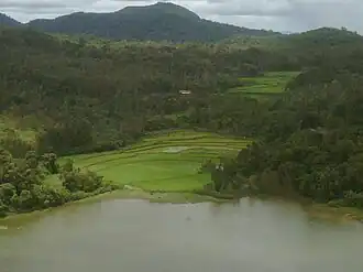 Landscape around Honnamana Kere