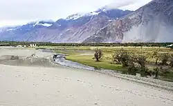 Hunder, Nubra Valley
