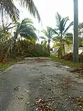 Hurricane Irma damage