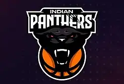 Indian Panthers logo