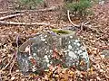 Native American corn grinding stone mortar on Legion Trail near Legion Cabin on Nobscot Hill at Nobscot Scout Reservation