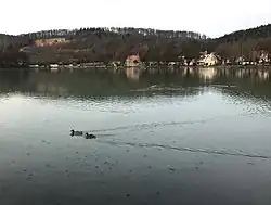 View of the north bank with quarry in the background