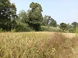 Jarmundi village photos