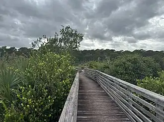 View of the natural area's walkable bridge and marshland foliage