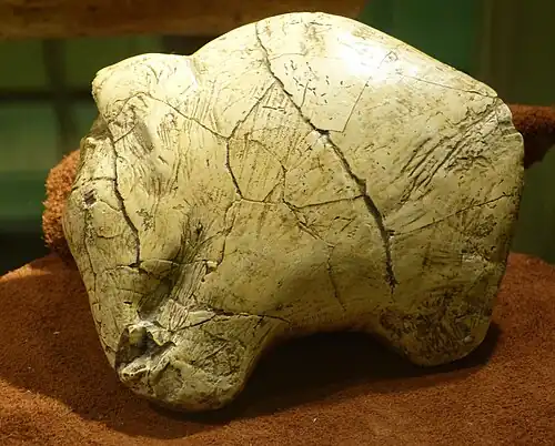 Mammoth figurine from Predmosti, Czech Republic