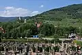Cemetery and vineyards