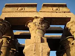 Preserved papyrus shaped column and ceiling at Kom Ombo temple